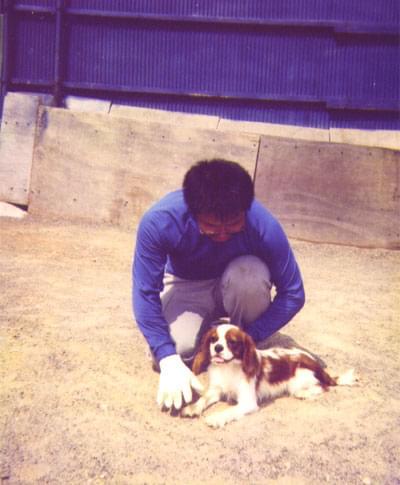 愛犬の訓練風景